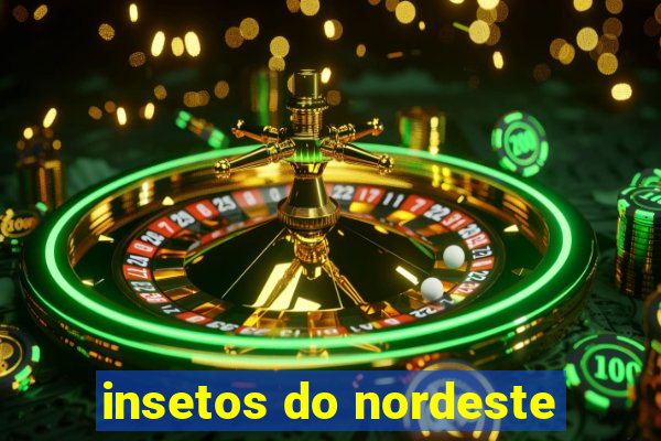 insetos do nordeste