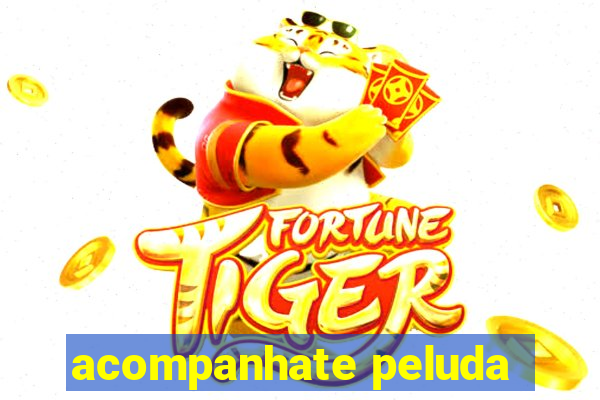 acompanhate peluda