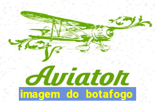 imagem do botafogo zuando o palmeiras