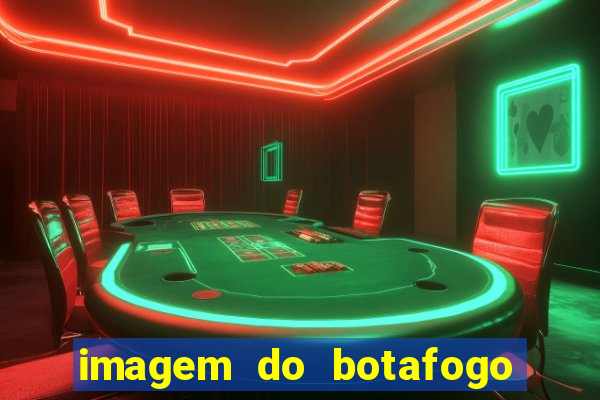 imagem do botafogo zuando o palmeiras
