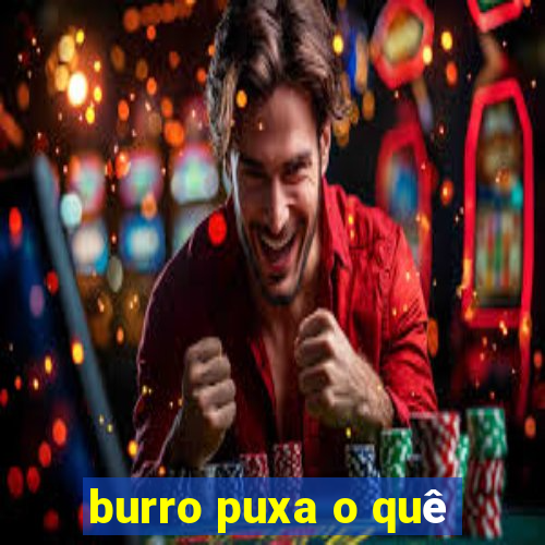 burro puxa o quê