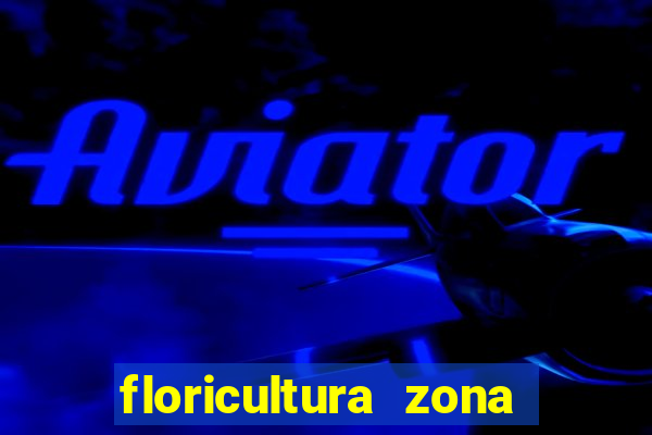 floricultura zona sul porto alegre