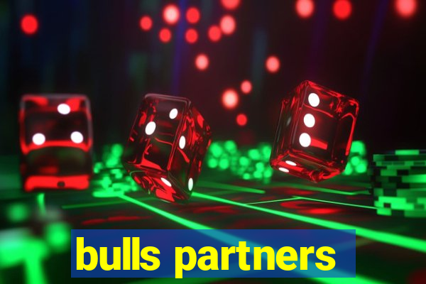 bulls partners