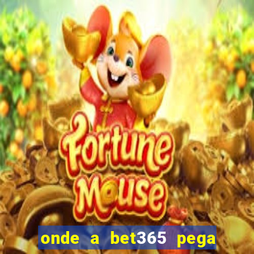onde a bet365 pega as estatisticas