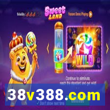 38v388.com