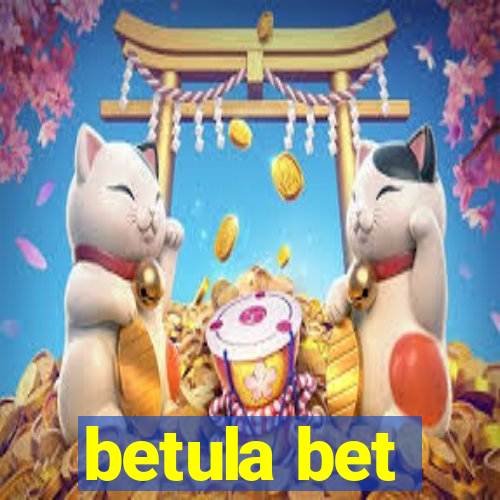 betula bet