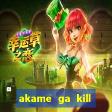 akame ga kill chelsea hentai
