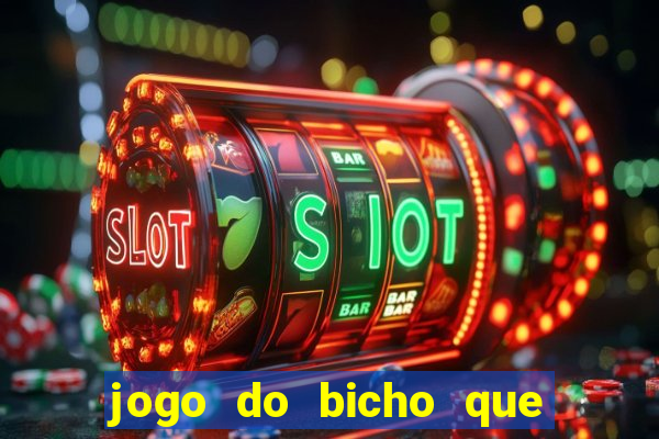 jogo do bicho que paga no pix