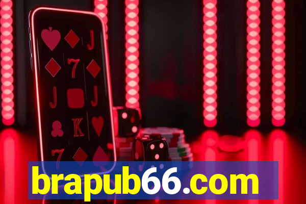 brapub66.com