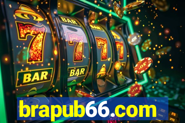 brapub66.com