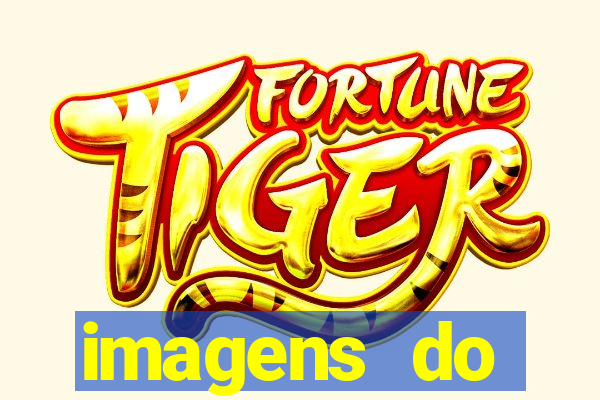 imagens do corinthians sendo zuado