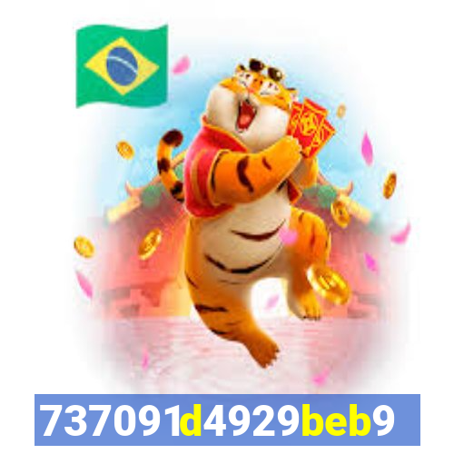 plataforma bet917.com