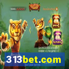 313bet.com