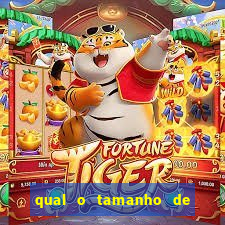 qual o tamanho de uma barra de ouro de 1kg