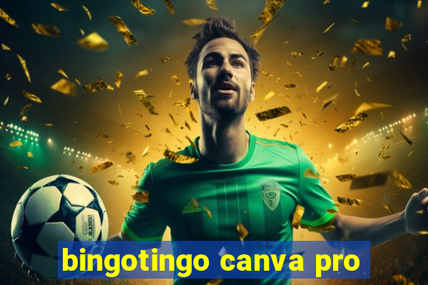 bingotingo canva pro