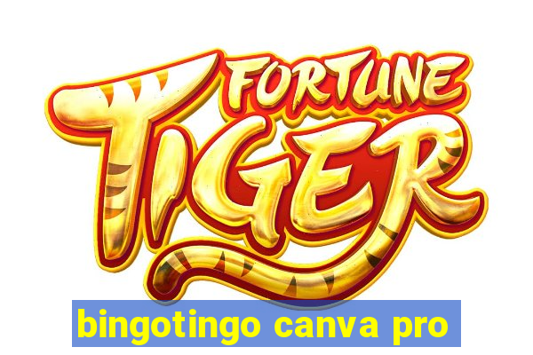 bingotingo canva pro