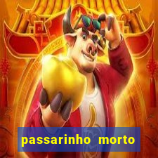 passarinho morto significado espiritual