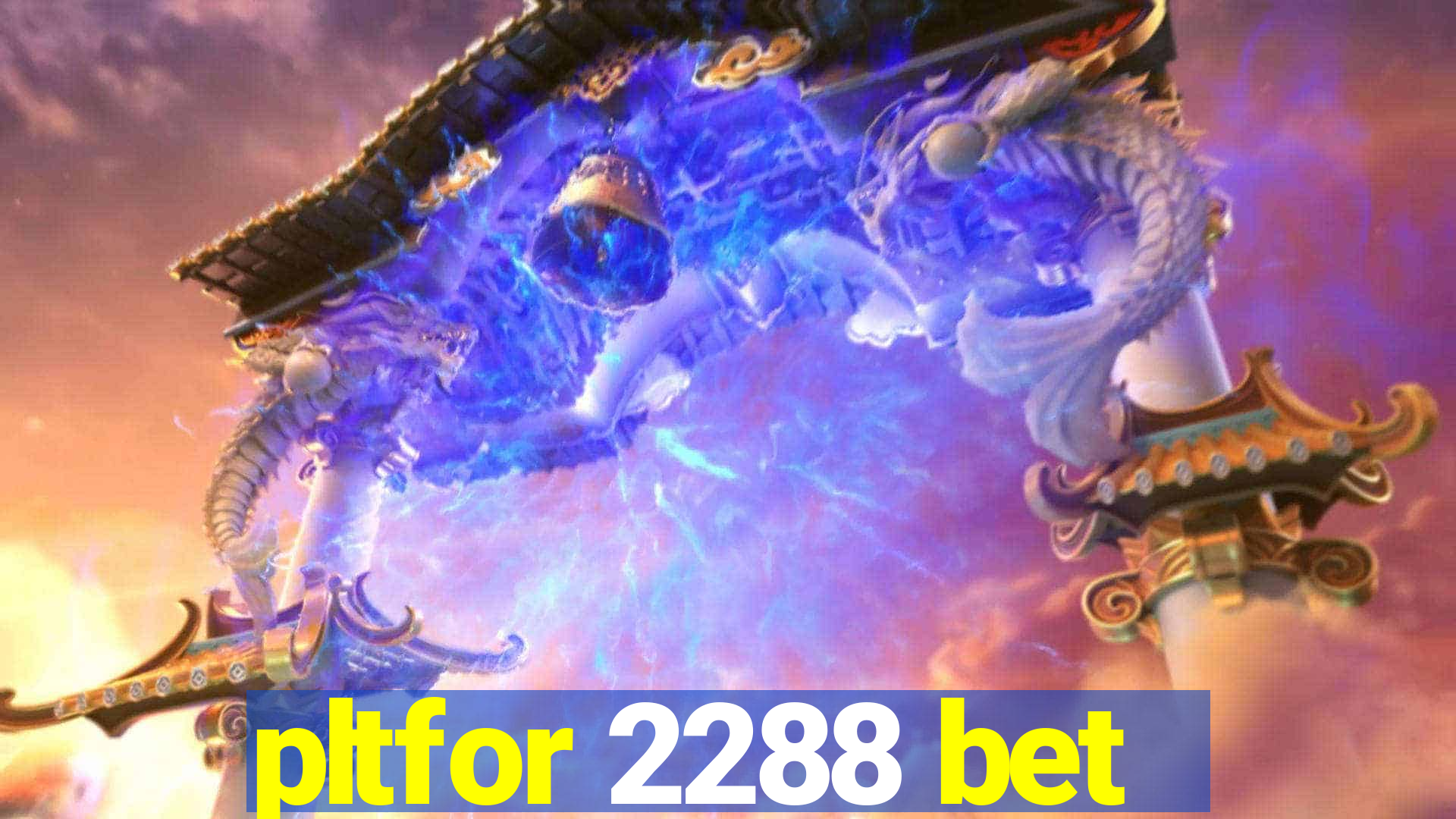 pltfor 2288 bet