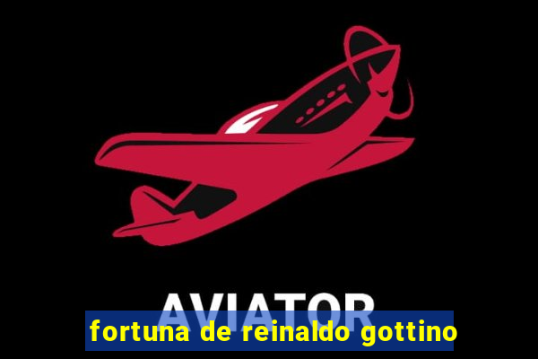 fortuna de reinaldo gottino