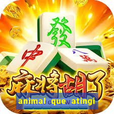 animal que atingi 230 decibeis