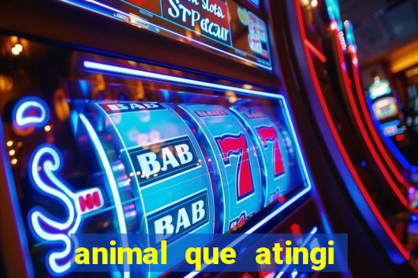 animal que atingi 230 decibeis