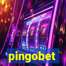 pingobet