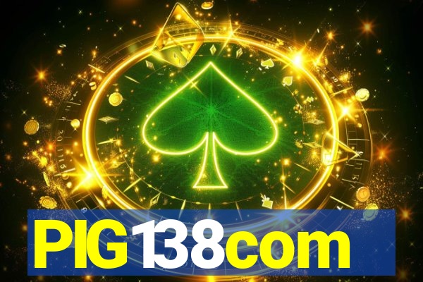 PIG138com