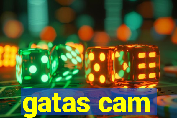 gatas cam