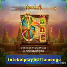 futebolplayhd flamengo