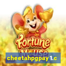 cheetahpgpay1.com