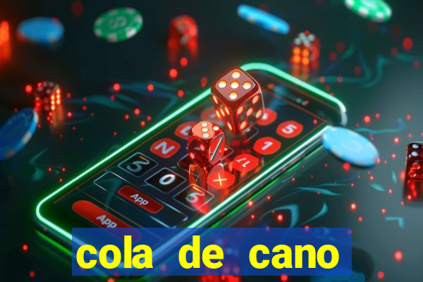 cola de cano quanto tempo para secar