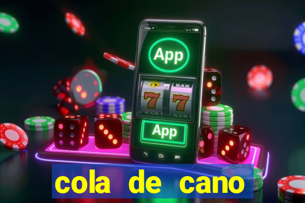 cola de cano quanto tempo para secar