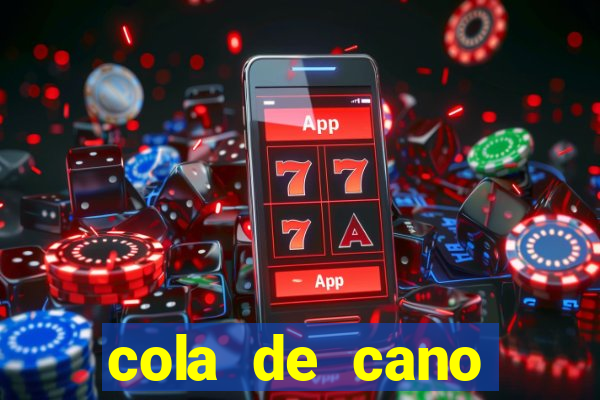 cola de cano quanto tempo para secar