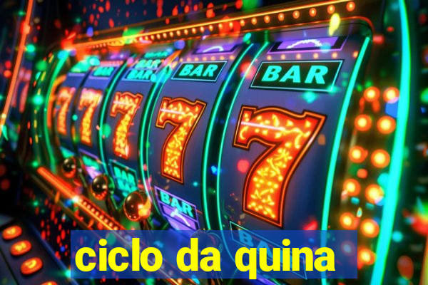 ciclo da quina