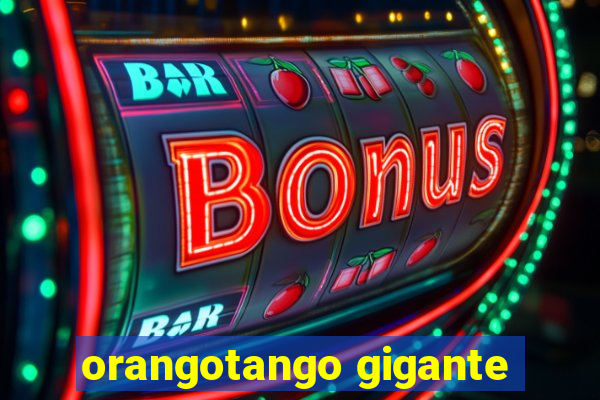 orangotango gigante