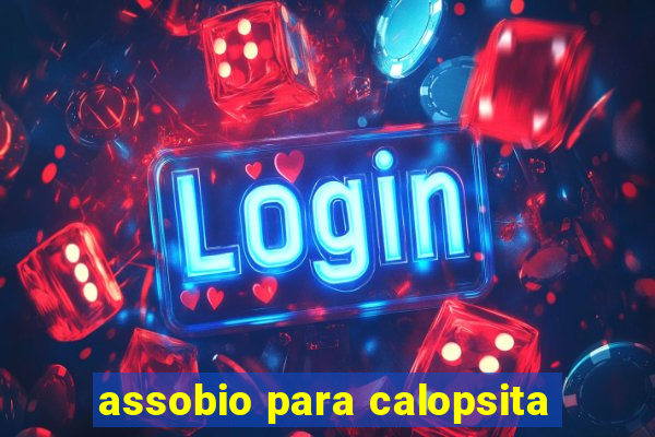 assobio para calopsita