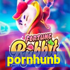pornhunb