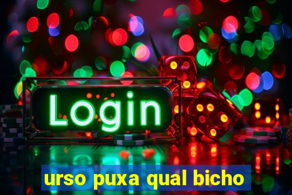 urso puxa qual bicho