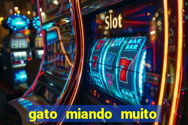 gato miando muito a noite o que fazer