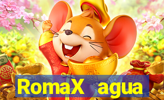 RomaX agua sanitaria fispq agua sanitaria romax