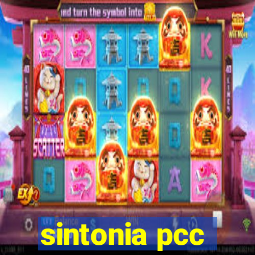 sintonia pcc