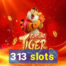 313 slots