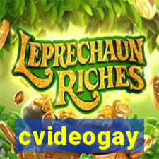 cvideogay