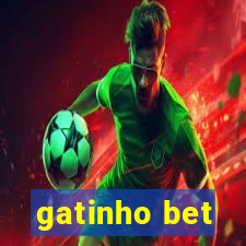gatinho bet