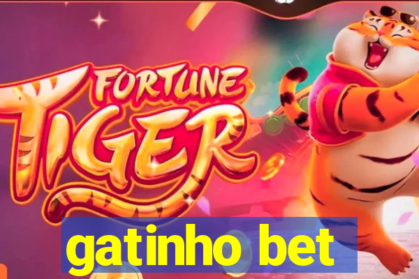gatinho bet