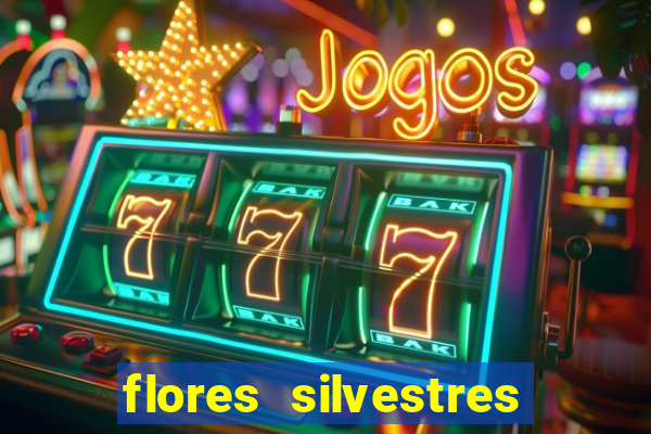 flores silvestres desbravadores desbravadores 25 flores silvestres e seus nomes
