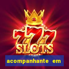 acompanhante em porto seguro