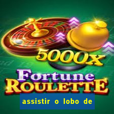 assistir o lobo de wall street gratis