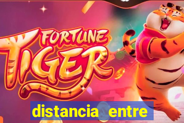 distancia entre porto alegre e pelotas