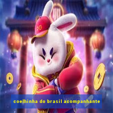 coelhinha do brasil acompanhante